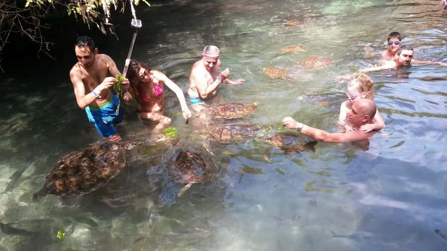 Zanzibar: North Coast and Turtle Sanctuary Tour - FAQ