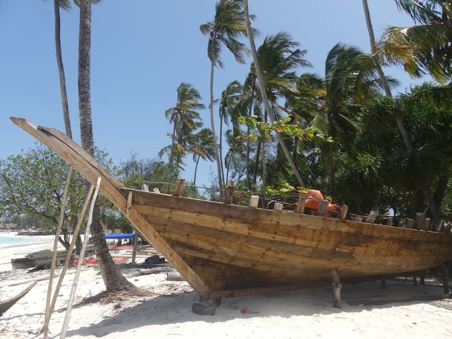 Zanzibar: North Coast and Turtle Sanctuary Tour - The turtle sanctuary is the day’s main event