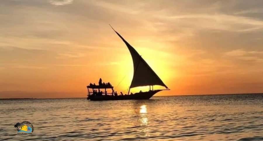 Zanzibar: Nungwi Cultural Village Tour & Sunset Dhow Cruise - The turtle aquarium and an important ethical question