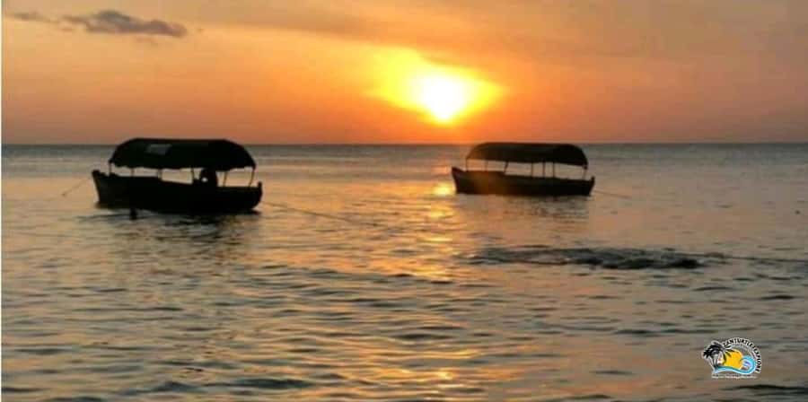 Zanzibar: Nungwi/Kendwa Beach Sunset Dhow Cruise with Fruits - Music, singing, and the sunset