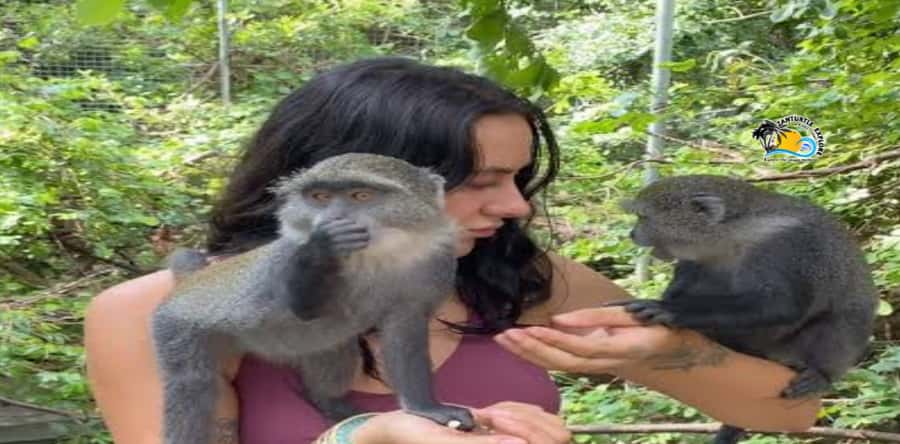 Zanzibar: Nungwi Kilosa Zoo Conservation Tour - Key points at a glance