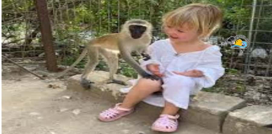 Zanzibar: Nungwi Kilosa Zoo Conservation Tour - Starting with pickup from your Nungwi hotel
