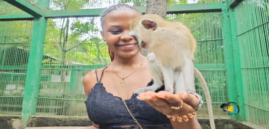 Zanzibar: Nungwi Kilosa Zoo & Swimming with Turtles - Practical tips for a smoother day