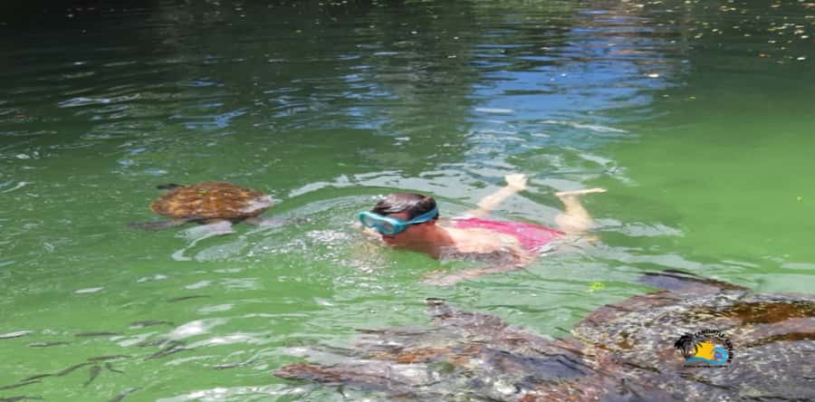 Zanzibar: Nungwi Kilosa Zoo & Swimming with Turtles - Starting with pickup across Zanzibar