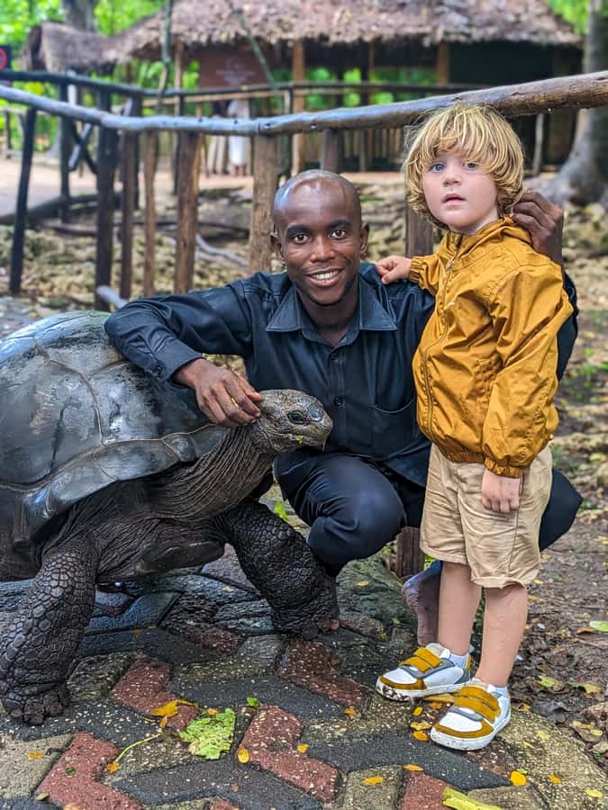 Zanzibar: Prison Island & Giant Tortoises with Pickup - Why Prison Island makes a good half-day outing