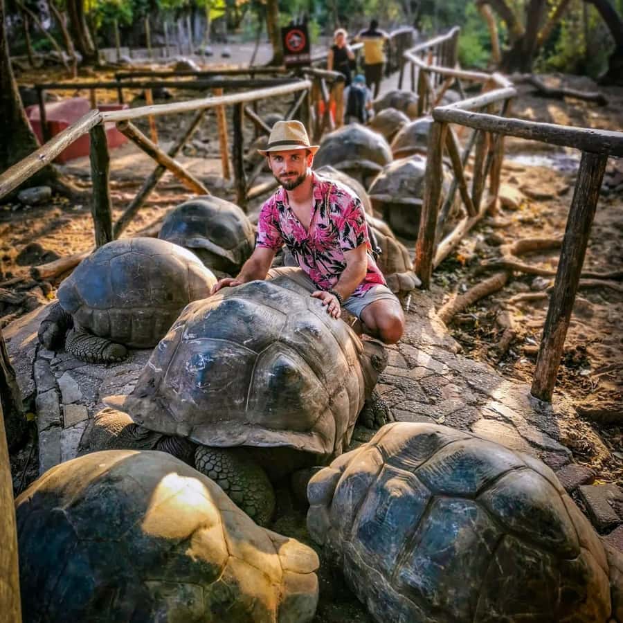 Zanzibar: Prison Island & Giant Tortoises with Pickup - The boat ride from Stone Town to Changuu Island