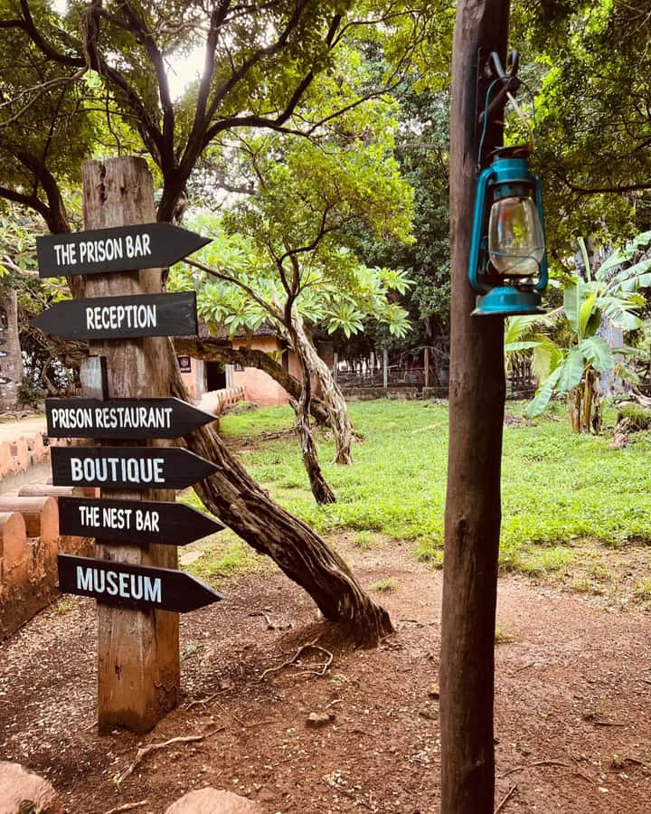 Zanzibar: Prison Island & Giant Tortoises with Pickup - Meeting the giant Aldabra tortoises