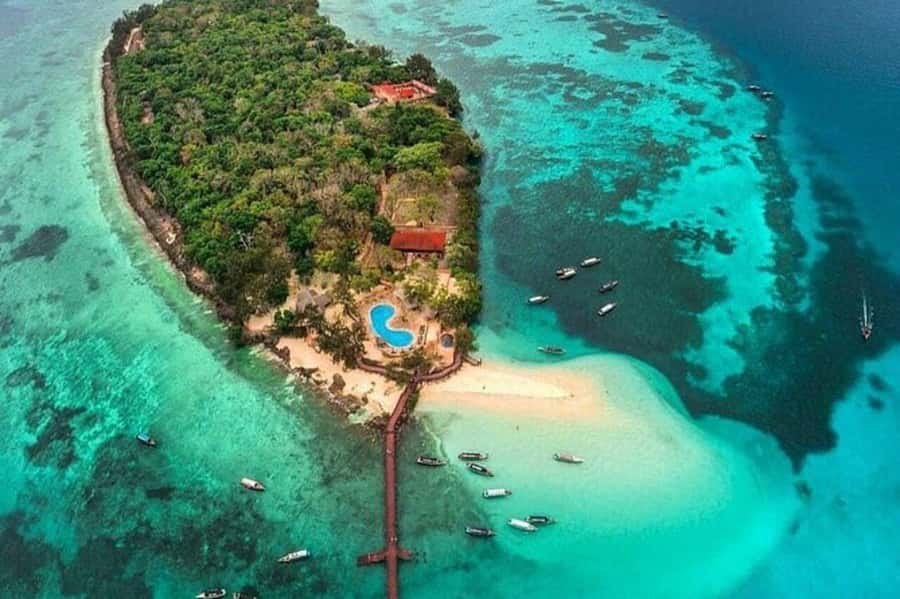 ZANZIBAR: Prison Island, Jozani Forest & SeaTurtle Sanctuary - Why this Zanzibar day works so well