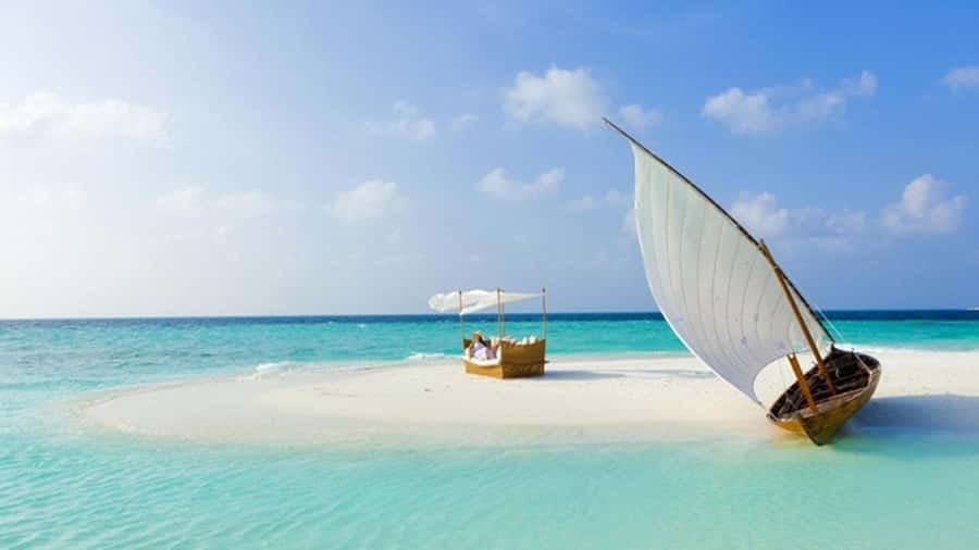 Zanzibar: Prison Island & Nakupenda Boat Tour with BBQ Lunch - Key points to know before you book