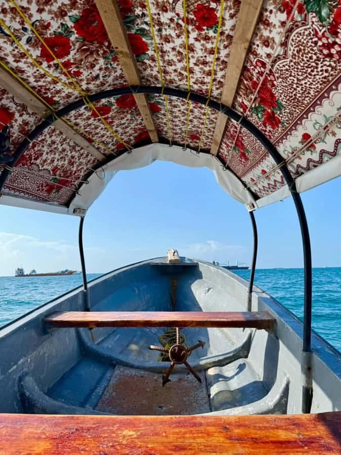 Zanzibar: Prison island & Nakupenda Sandbank Small-GroupTour - Crowds, cleanliness, and the small-group promise