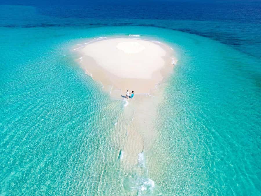 Zanzibar: Prison island & Nakupenda Sandbank Small-GroupTour - How the $45 price measures up