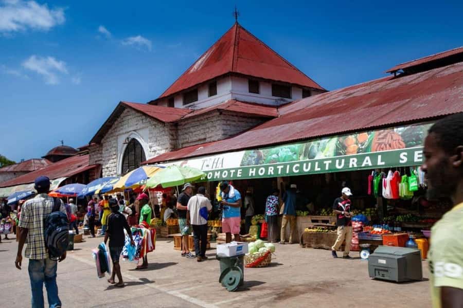 Zanzibar: Prison Island, Nakupenda, Stone Town Trip with BBQ - What the guide and group arrangements mean