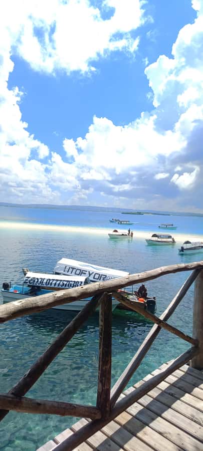 Zanzibar; Prison Island, Nakupenda, StoneTown Tour with BBQ - Stone Town after the beach
