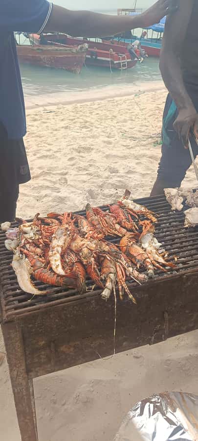 Zanzibar; Prison Island, Nakupenda, StoneTown Tour with BBQ - Guides, languages, and group style