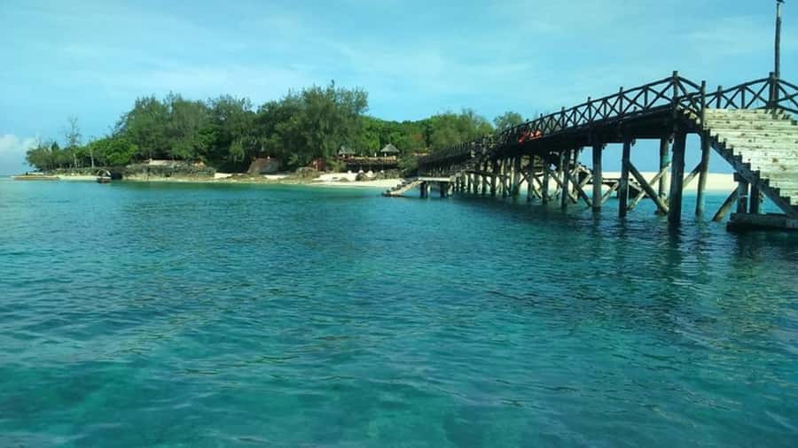 Zanzibar: Prison island Private half day tour - Who will enjoy this trip most