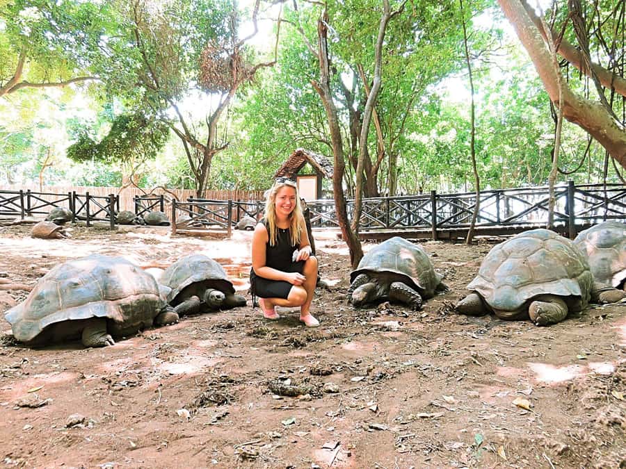 Zanzibar: Prison island Private half day tour - Island history with a local guide