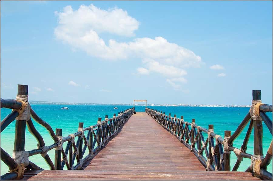 Zanzibar: Prison island Private half day tour - Mangroves, herbs, and a little island culture