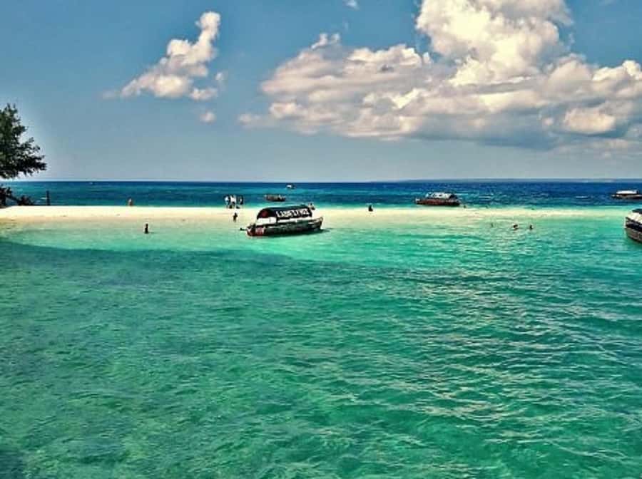 Zanzibar: Prison island Private half day tour - Swimming and free time on a small island
