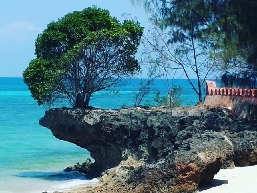 Zanzibar: Prison island Private half day tour - What $52 really gets you
