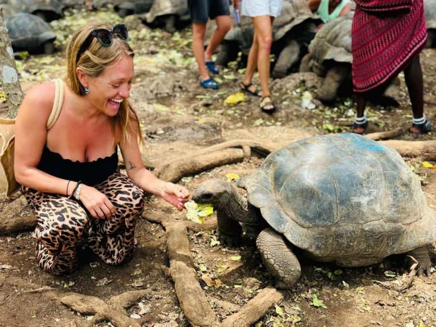 Zanzibar: Prison island, Sea Turtle Sanctuary + Mtende Beach - The road and boat time matter