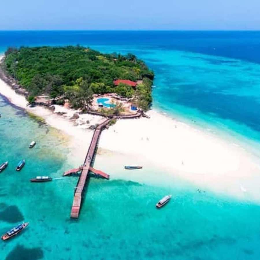 ZANZIBAR: Prison Island, Spice Farm Visit & Turtle Swim Tour - Why this Zanzibar day works so well