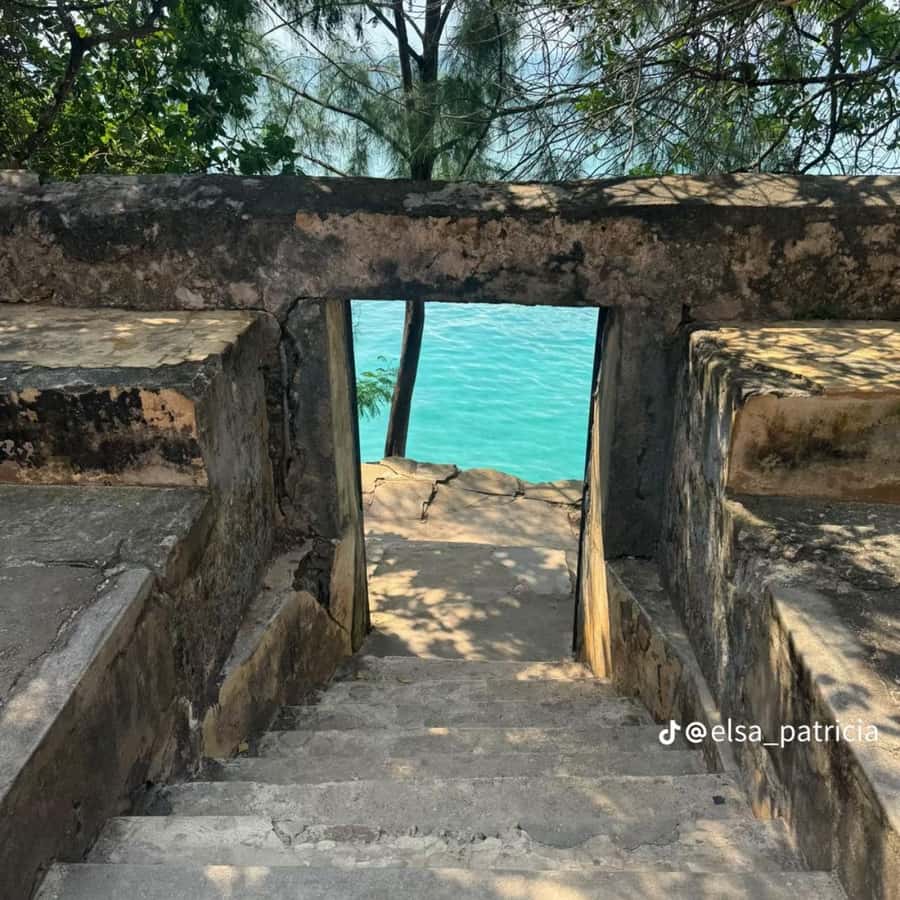 ZANZIBAR: Prison Island, Spice Farm Visit & Turtle Swim Tour - The spice farm’s fresh tastes and working crops