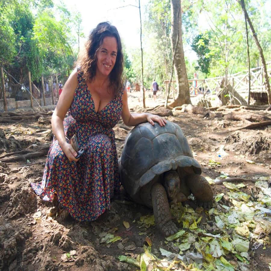 ZANZIBAR: Prison Island, Spice Farm Visit & Turtle Swim Tour - Who should book this experience