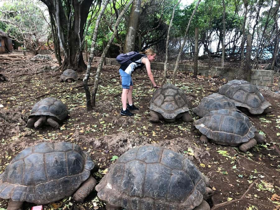 Zanzibar: Prison Island, Stone Town, & Spice Farm Tour - Key points to know before booking