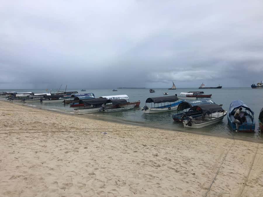 Zanzibar: Prison Island, Stone Town, & Spice Farm Tour - What this full-day Zanzibar tour is really like