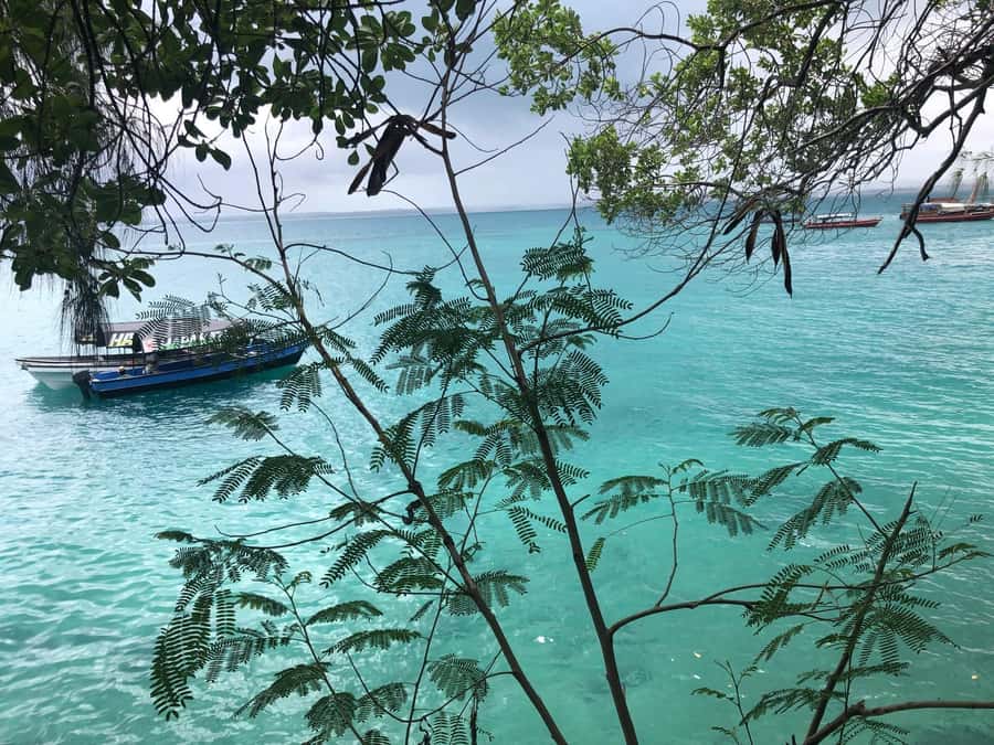 Zanzibar: Prison Island, Stone Town, & Spice Farm Tour - Who should book it?