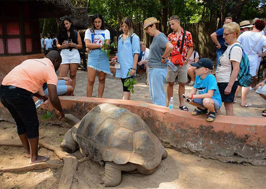 Zanzibar Prison Island , Stown Town & Nakupenda (Sandbank) - Prison Island: tortoises and a troubled past
