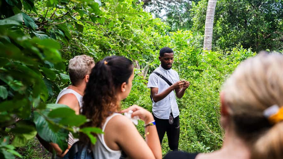 Zanzibar: Prison Island, Tortoise, Jozani Forest Guided Tour - Why this Zanzibar day works