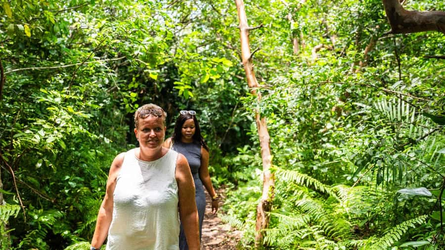 Zanzibar: Prison Island, Tortoise, Jozani Forest Guided Tour - What to pack for a day outdoors
