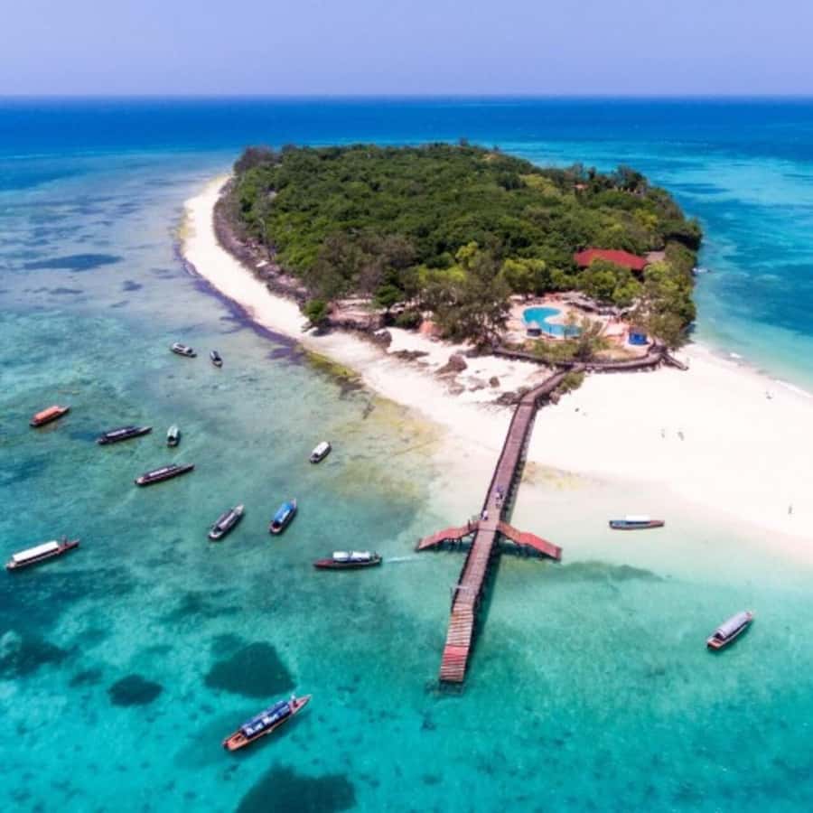 Zanzibar: Prison Island Tour with Giant Tortoises &Boat Ride - Meeting the giant Aldabra tortoises