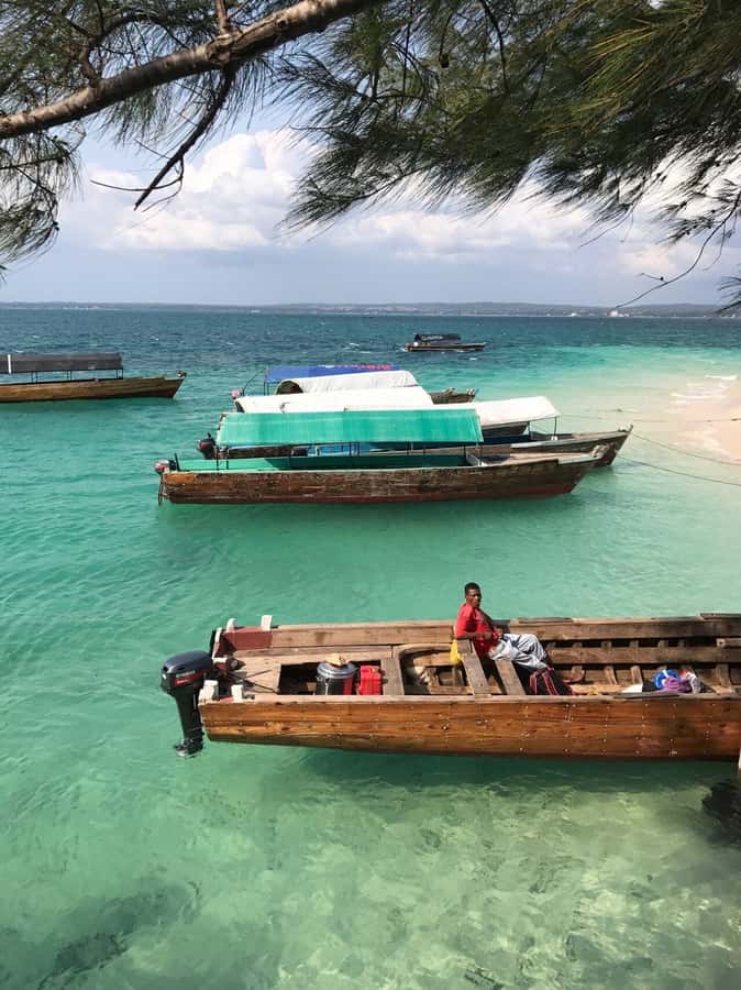 Zanzibar: Prison Island Tour with Giant Tortoises &Boat Ride - What the $64 price includes