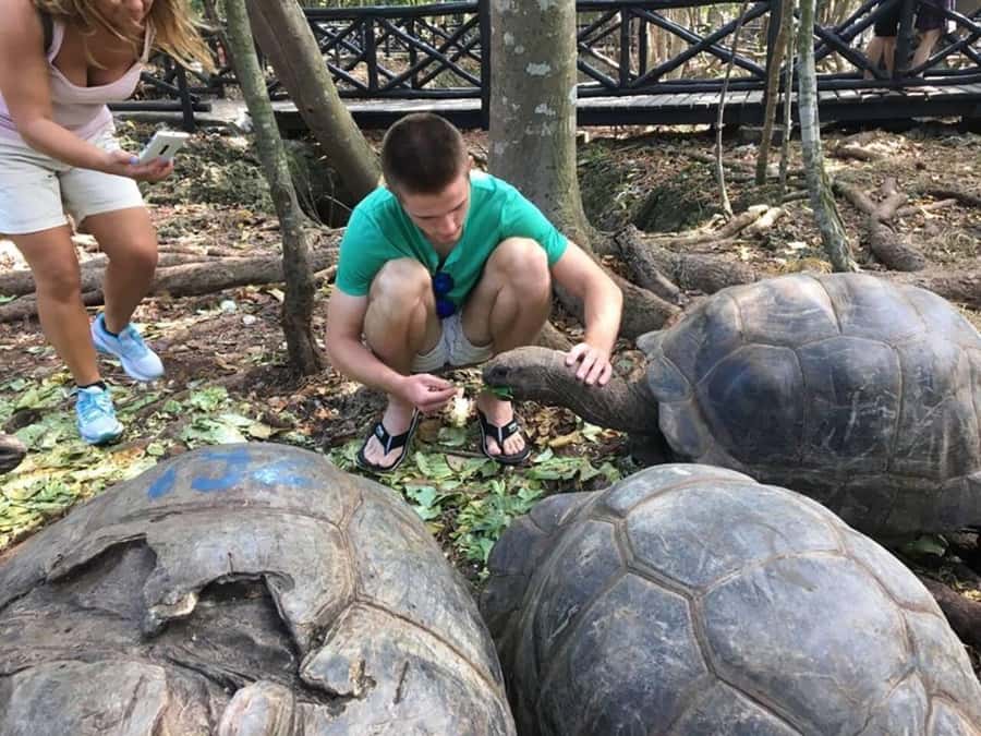 Zanzibar: Prison Island Tour with Giant Tortoises &Boat Ride - Prison Island’s short but intriguing past