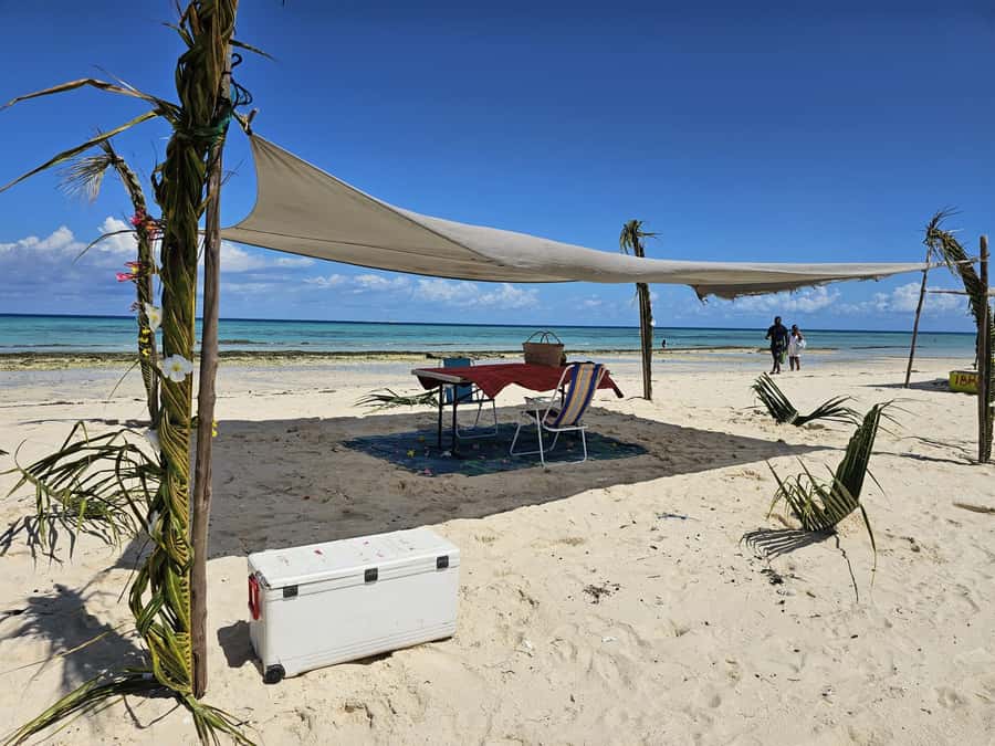 Zanzibar: Prison Island Tour with Lunch on the Sandbank - What Prison Island was really used for