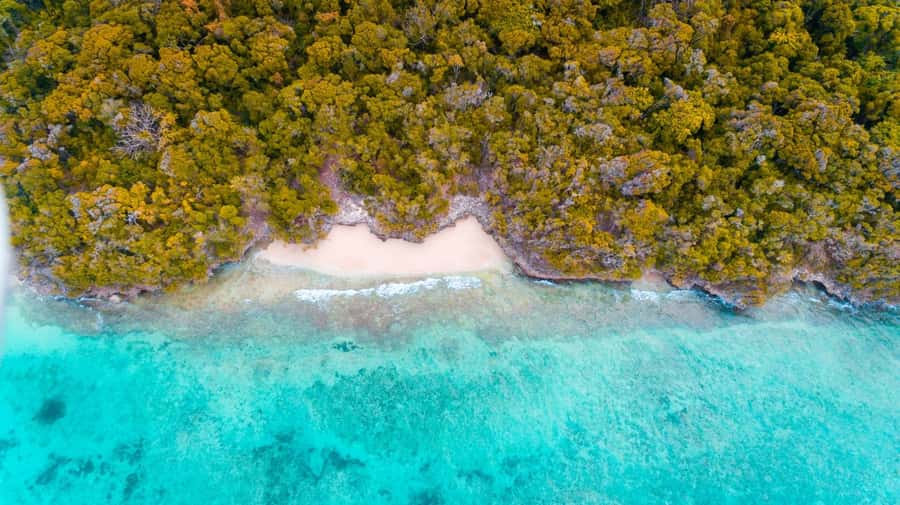 Zanzibar: Private Sail to Pungume Sandbank with BBQ Lunch - Key points to know before you book