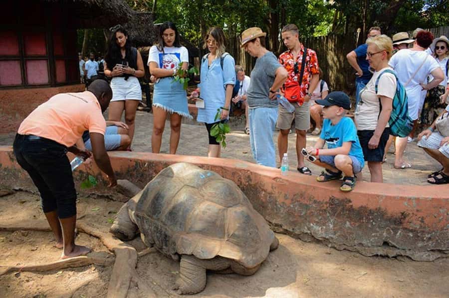 Zanzibar: Private Stone Town, Prison Island & SpiceFarm Tour - Who will get the most from this tour?