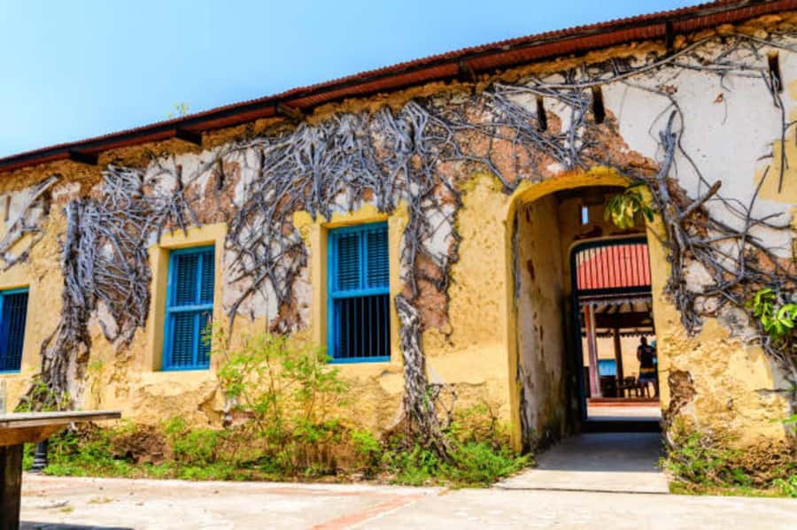Zanzibar: Private Stone Town & Prison Island Tour - Stone Town First, Then Prison Island