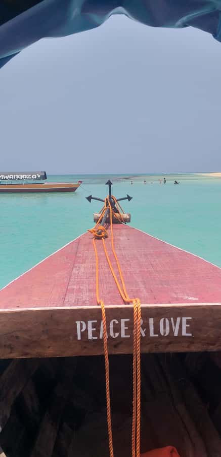 Zanzibar: Private Stone Town & Prison Island Tour - A 25-Minute Boat Ride to Changuu Island