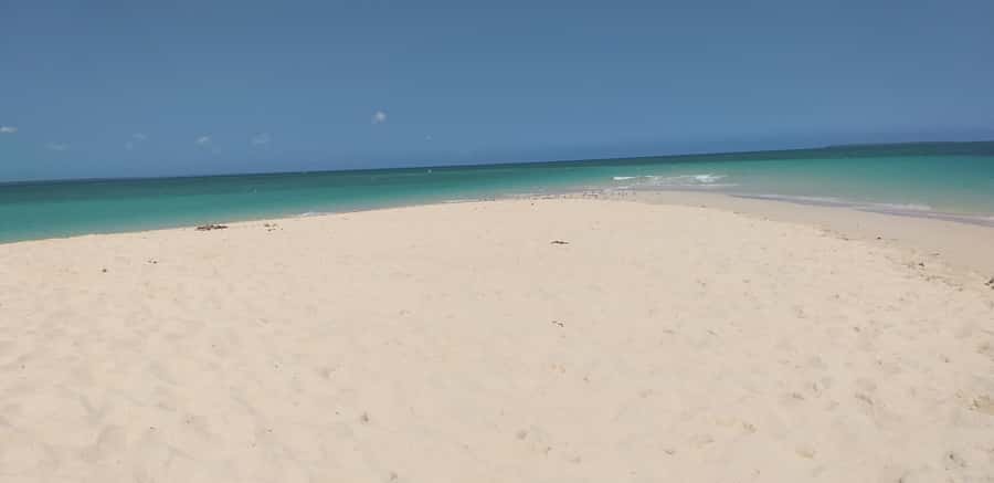 Zanzibar: Private Stone Town & Prison Island Tour - Meeting Prison Island’s Giant Tortoises