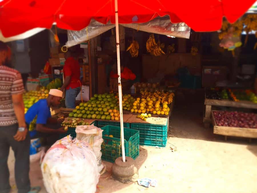 Zanzibar: Private walking tour in stone town - Stone Town in three hours
