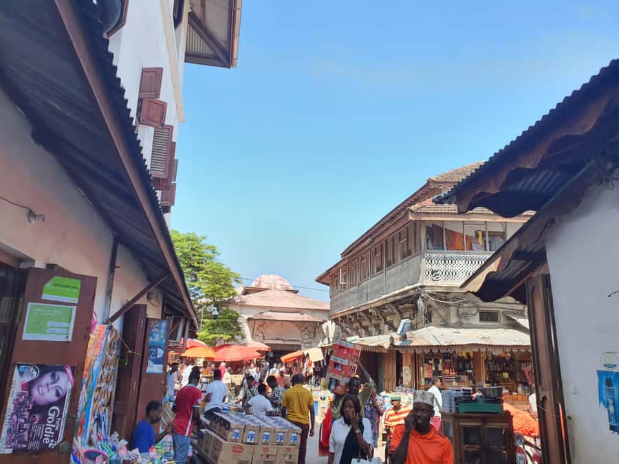 Zanzibar: Private walking tour in stone town - Meeting the guide at the Old Fort