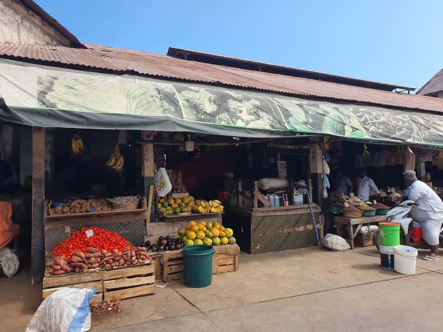 Zanzibar: Private walking tour in stone town - Language, pace, and guide quality