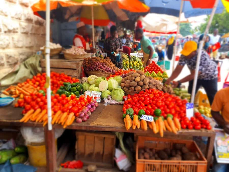 Zanzibar: Private walking tour in stone town - Who should book this walk?
