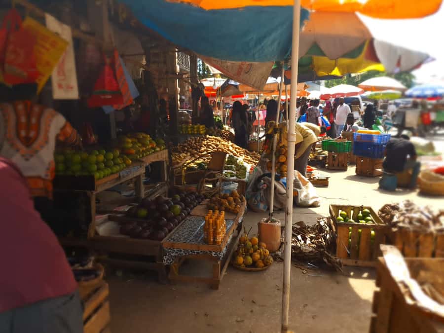 Zanzibar: Private walking tour in stone town - Should you book the Stone Town walking tour?