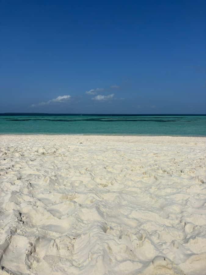 Zanzibar: Pungume island-dolphin watching - BBQ Lunch - Setting out for dolphins near Zanzibar’s south coast
