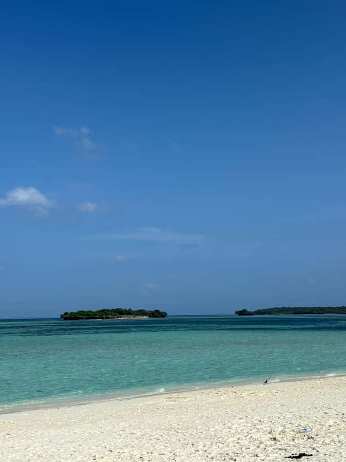 Zanzibar: Pungume island-dolphin watching - BBQ Lunch - Hotel pickup from five southern Zanzibar areas
