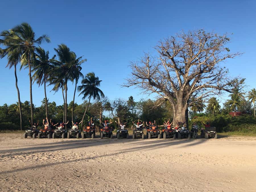 Zanzibar: Quad Bike Adventure Tour to a Local Village - Rice fields and rural roads reveal a different Zanzibar